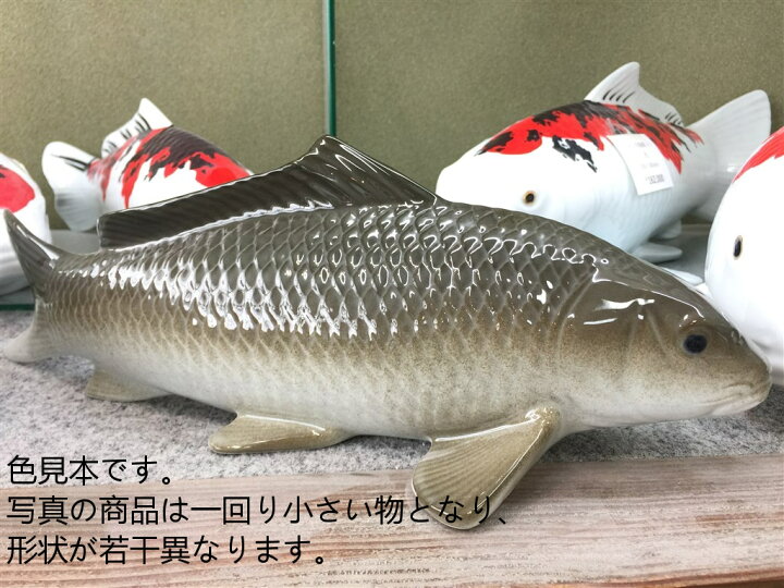 楽天市場】【有田焼 伯父山窯】ジャンボ錦鯉(小).真鯉【写真の「三色 