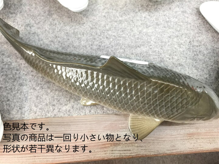 楽天市場】【有田焼 伯父山窯】ジャンボ錦鯉(小).真鯉【写真の「三色 