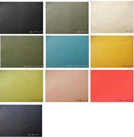 現品限り　ウェア向き コットンキャンバス 無地【メール便2m可】ムジ 生地 布地 コットン 綿