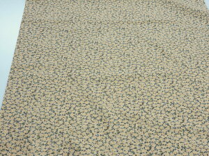 1mP AEgbg50% 2 CG[ 60[ny[4mz [J[i n zn z Rbg  n