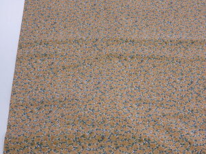 1mP AEgbg50% 2 IW 60[ny[4mz [J[i n zn z Rbg  n