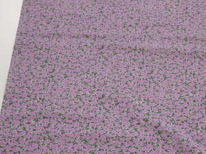 1mP AEgbg50% 2 sN 60[ny[4mz [J[i n zn z Rbg  n