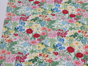 1mP AEgbg40% RہEhL⎅~[t@_uK[[ {^jJ Jt YUWALփIWiy[2mz }[N_E@[J[i n zn z Rbg  