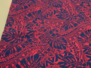 T/Cu[h nCA sN douy[3mz n zn nCA t_X ߑ [[ An m[AC