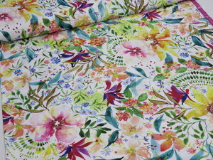 MODAi_j Eufloria [tA Floribunda It V[`On y[3mzpb`[N n zn vgn