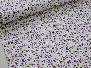 MODA(モダ) Pansys Posies パンジーポジー Circle Sprey Ditty オフ シーチング生地 【メール便3m可】パッチワーク 生地 布地 プリント生地