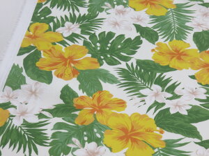 T/Cu[h nCA nCrXJX Ity[3mz n zn nCA t_X ߑ [[ An m[AC