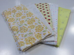 50cm×50cm _uK[[JbgNX 5Zbg C CG[y[1pz n zn nM ͂  }XN