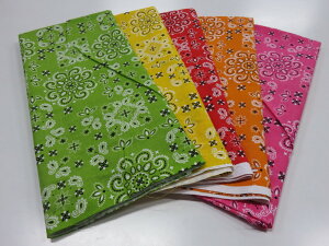 50cm×50cm V[`O JbgNX 5Zbg 15 o_iy[2pz n zn nM ͂  }XN
