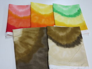 レア物 約50cm×50cm シーチング サークルパレット パネル柄 5枚セット 34 【メール便1p可】 生地 布地 ハギレ はぎれ 小物つくり マスク