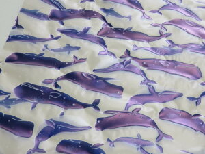 炩|E^  p[v TPU 65cm|E^ny[1mz zn h CeA  |