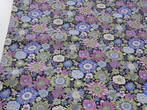 iCIbNX pԕ BF douy[3mz n zn vgn \[CO |