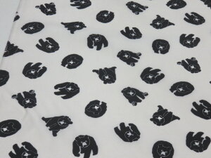 iCIbNX xA[ It y[3mz n zn vgn \[CO |