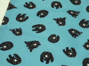 iCIbNX xA[ u[ douy[3mz n zn vgn \[CO |