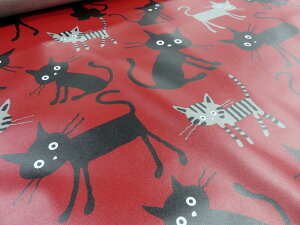 ~l[gn@RRh@傫ȃlR@bh y[1mz Lbg ˂ L Aj}  n zn rj[ R[eBO h CeA  |