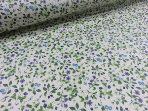 ~l[g ȃx[ u[ cCn y[1mz n zn rj[ R[eBO h CeA  |