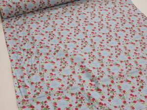 R֎q V[eCO T[N Cgu[y[3mz n zn z Rbg  n YUWA L [ pb`[N