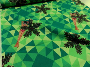 KATUNO V̖ O[ V[`Oy[3mz n zn pb`[N nCA t_X ߑ [[ An