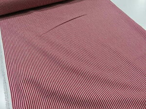 qbR[n@bhy[1,5mz n zn  Rbg  | nhCh  w j̎q ̎q