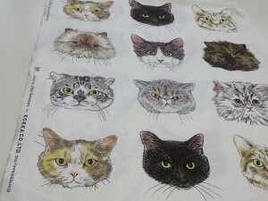 LbgtFCX CAT ART 1pl48cmis[gj V[`On OrieKawamura JIG fUCi[Yy[6zz ʂ  w XbN ̑ В |[` В N