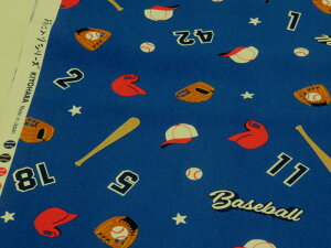 x[X{[ u[ IbNXny[2mz n zn  Rbg  | nhCh  w j̎q