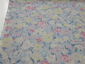 1mP AEgbg75 100 l ʃt[ u[ dou y[2mz n zn Rbgl  w LbY j̎q ̎q nhCh  | \[CO