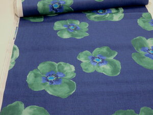 EFA n[tlV[`O t[ lCr[ douy[3mz n zn Rbg  Ȗ l  R