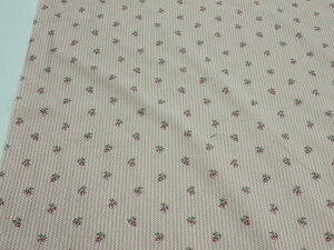 ̑c V[eBO CObV[Y N[×C 121 dou y[3mz n zn n Rbg pb`[N L YUWA [