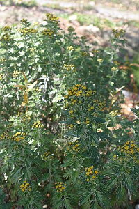 VEhW}C\MNiej7D5cm`9cm|bgyR쑐zyez