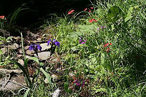 qIEMAiwҊj9`10D5cmyR쑐z