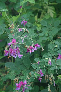 _}nMiܔj@9cm|bgyR쑐zynMz