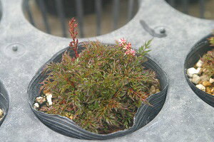 NV}qVE}ivPj7C5`9cm|bgyR쑐z