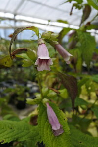 WRE\Eilj7D5cm`9cm|bgyR쑐z