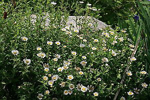 nRlMNiej7C5cm`9cm|bgyR쑐@ԕc@ԁ@N@h@@K[fjO@ԁ@ϊz