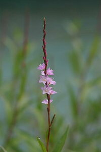 TN^fij@7D5`9cm|bgyR쑐z