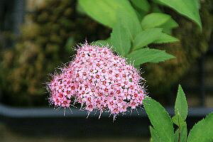 uVcPi當j7D5`9cm|bgyR쑐@쑐@؁@ԕc@ϊ؁@t@ۋʁ@񂹐A@bNK[fz