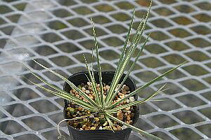 n}TlZLVEij@Ώҁj7D5`9cm|bgyR쑐zy񂹐Az