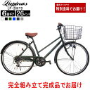 【お届け先の条件クリアで送料大幅お値引き】【送料無料地域多数！】【完成品でお届け】Lupinus(ルピナス)LP-266TD-K2…