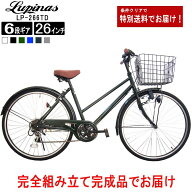 【お届け先の条件クリアで送料大幅お値引き】【送料無料地域多数！】【完成品でお届け】Lupinus(ルピナス…