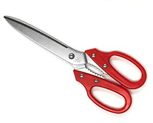 J[ē͂݁@ԁ@bhDSY|1051ROLb`@{JAN:4560354033162