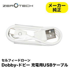 ZEROTECH Dobby ドビー 純正充電用USBケーブル　USBタイプC[並行輸入品]