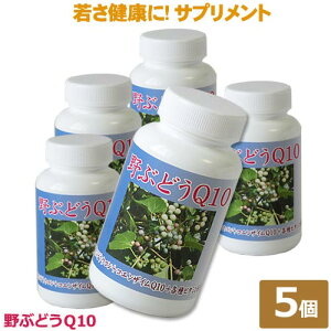 �y��Ԃǂ�Q10�z��X�������N�̔錍�@600���@��Ԃǂ� �E�R�� �K�W���c �R�G���U�C��Q10�@�r�^�~��A �r�^�~��C �r�^�~��D �r�^�~��E �r�^�~��B1 �r�^�~��B2 �r�^�~��B6�r�^�~��B12 ���p�B���݂�