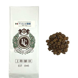 IXyVeByLVRzAgjI@ TXeBiuȔ_i ^j㒬