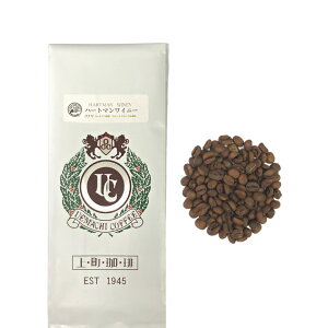 IXyVeB R[q[ypi}zn[g}Cj[@i`@@n[g}_@(^)@㒬茵I@TXeBiuR[q[@o[hth[