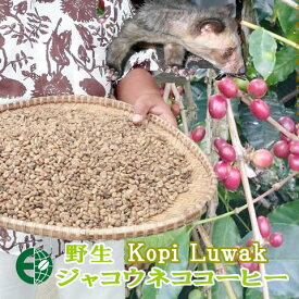 【送料無料】ジャコウネココーヒー コピ・ルワック コピルアク (豆/粉） 100g【インドネシア スマトラ島】野生ルワックから天然の贈り物
