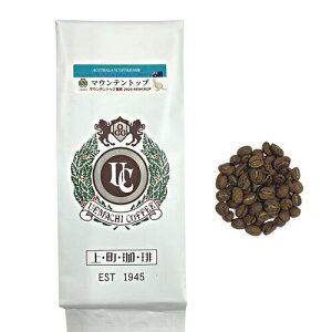 IXyVeB R[q[@}EegbvyI[XgAz GNXgt@V[ BIN478 i^j100g`㒬