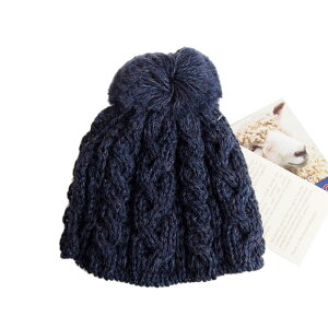 yCMXznCh2000 eB[RW[2tp fj@(lCr[ji|bg͕ʔłj