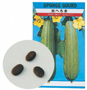 y10Zbgz A[ebN ArTec ؂̎ w`}   xW^u ͔| wZ q K[fjO ₳ _Ƒ̌ ƒ؉ wZpi wK | ~x wZ R ct 