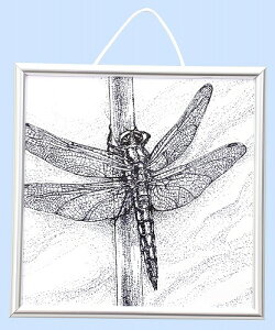 y5Zbgz A[ebN ArTec _`t[` RH nhCh }H p W i wZ _` wZpi t[ ~x zr[  i ` Lbg | w H