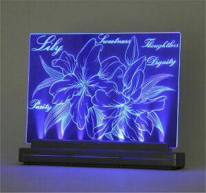 A[ebN ArTec CgXNb` A5  RH ThuXg ۑ wN }H p i wZ q [NVbv Ɩ wpi  CXg j̎q wZpi ~x  